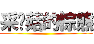 采蘑菇的棕熊 ()