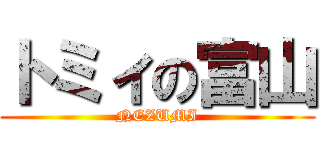 トミィの富山 (NEZUMI)
