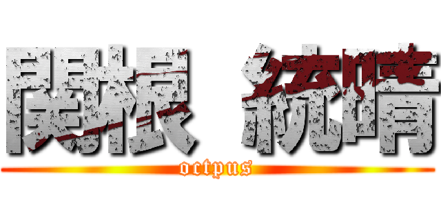 関根 統晴 (octpus)