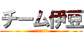 チーム伊豆 (メンバー募集中)