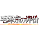 毛泽东の评价 (Mao Zedong‘s evaluation )