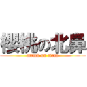 櫻桃の北鼻 (attack on titan)