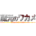 蔵元のワカメ (Nogami Hiroshl)