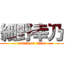 細野幸乃 (attack on titan)