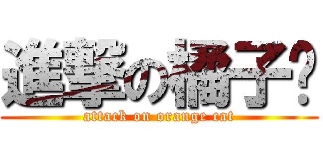 進撃の橘子貓 (attack on orange cat)