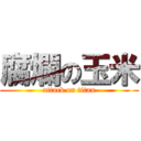 腐爛の玉米 (attack on titan)