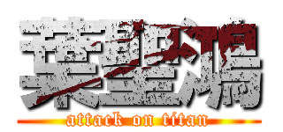 葉聖鴻 (attack on titan)