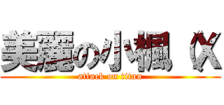 美麗の小楓（Ｘ (attack on titan)