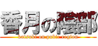 香月の陰部 (katsuki on pubic region)