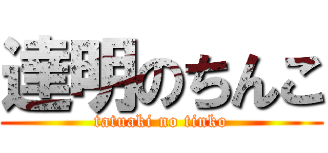 達明のちんこ (tatuaki no tinko)