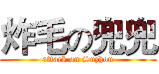 炸毛の兜兜 (attack on Suzhou)