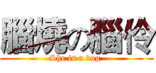 腦燒の腦伶 (She is a dog )