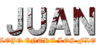 ＪＵＡＮ (EL FLOJO ENTRE LOS FLOJOS)