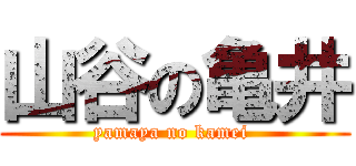 山谷の亀井 (yamaya no kamei )
