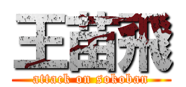 王苗飛 (attack on sokoban)