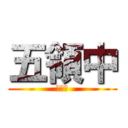 五領中 (一年生)
