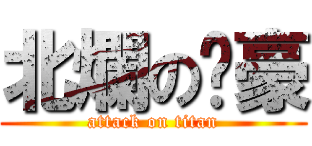 北爛の璿豪 (attack on titan)
