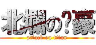 北爛の璿豪 (attack on titan)