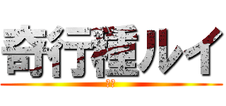 奇行種ルイ (るい)