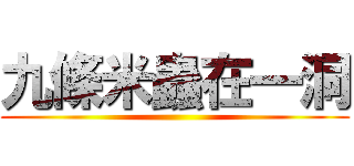 九條米蟲在一洞 ()
