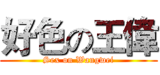 好色の王偉 (Sex on Wangwei)