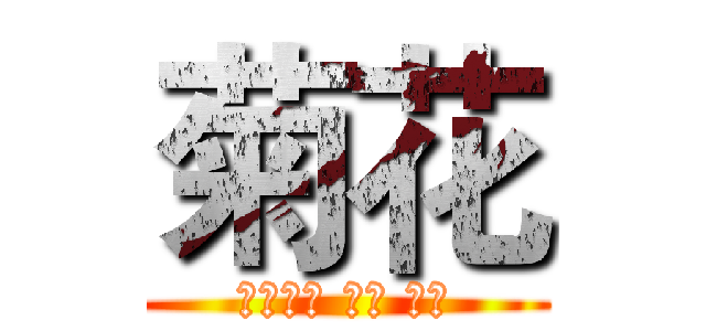 菊花 (菊花加油 加油 加油)