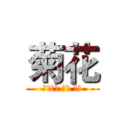 菊花 (菊花加油 加油 加油)