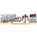 進撃の小昱 (Jackson)