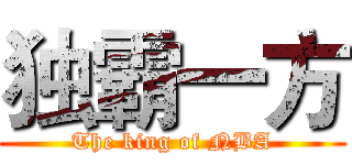独霸一方 (The king of NBA)