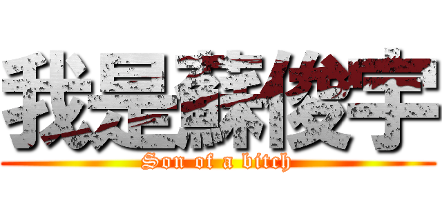 我是蘇俊宇 (Son of a bitch)