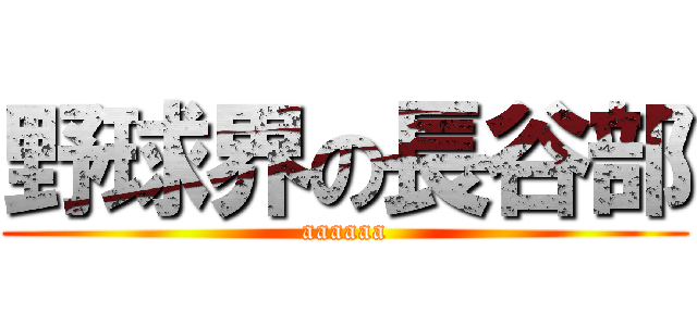 野球界の長谷部 (aaaaaa)