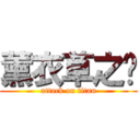 薰衣草之淚 (attack on titan)