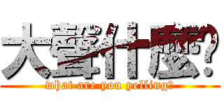 大聲什麼啦 (what are you yelling?)