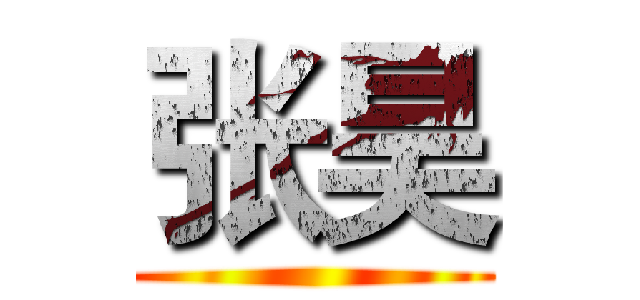 张昊 ()