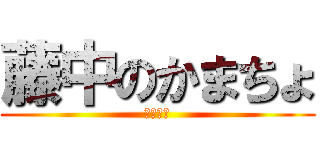 藤中のかまちょ (かまちょ)