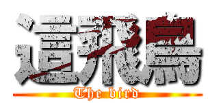 這飛鳥 (The bird)