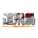 這飛鳥 (The bird)