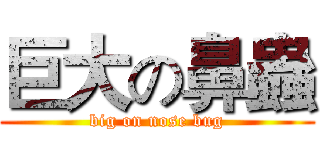 巨大の鼻蟲 (big on nose bug)