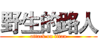 野生的路人 (attack on titan)
