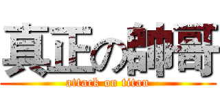 真正の帥哥 (attack on titan)