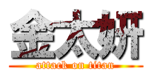 金太妍 (attack on titan)