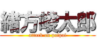 緒方崚太郎 (attack on paipai)