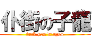 仆街の子龍 (fuck you dragon)