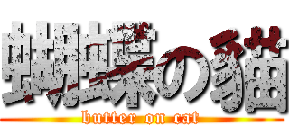 蝴蝶の貓 (butter on cat)