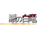 靑眼の白竜 (attack on titan)
