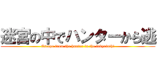 迷宮の中でハンターから逃 (Escape from the hunter in the labyrinth!)