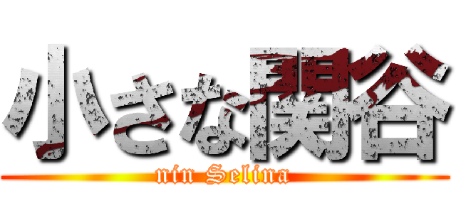 小さな関谷 (nin Selina)
