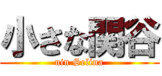 小さな関谷 (nin Selina)