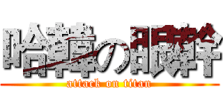 哈韓の眼幹 (attack on titan)