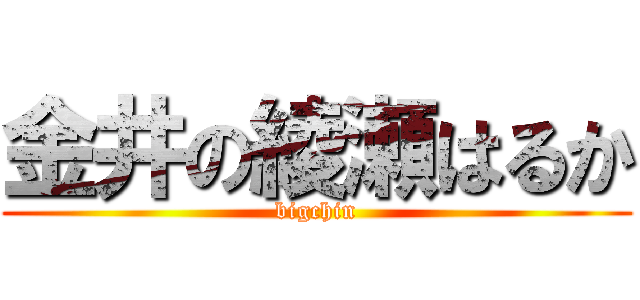 金井の綾瀬はるか (bigchin)